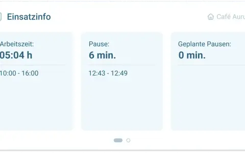 Einsatzinfo: 5:04h Arbeitszeit (10-16h), 6min Pause (12:43-12:49), 0min geplante Pausen. Die Pausenregelung der Arbeitszeit wird angezeigt.