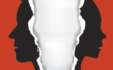 Zwei Silhouetten von Gesichtern, die durch einen Riss getrennt sind. Die Frage "wie schnell kann man sich scheiden lassen" wird visuell dargestellt.
